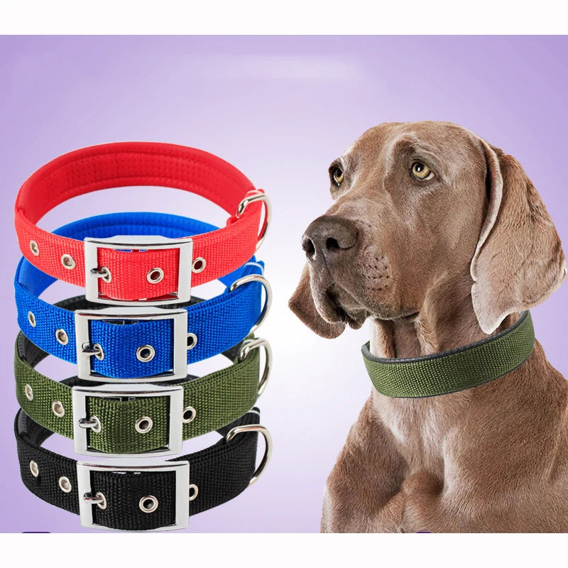 Nylon Dog Collar