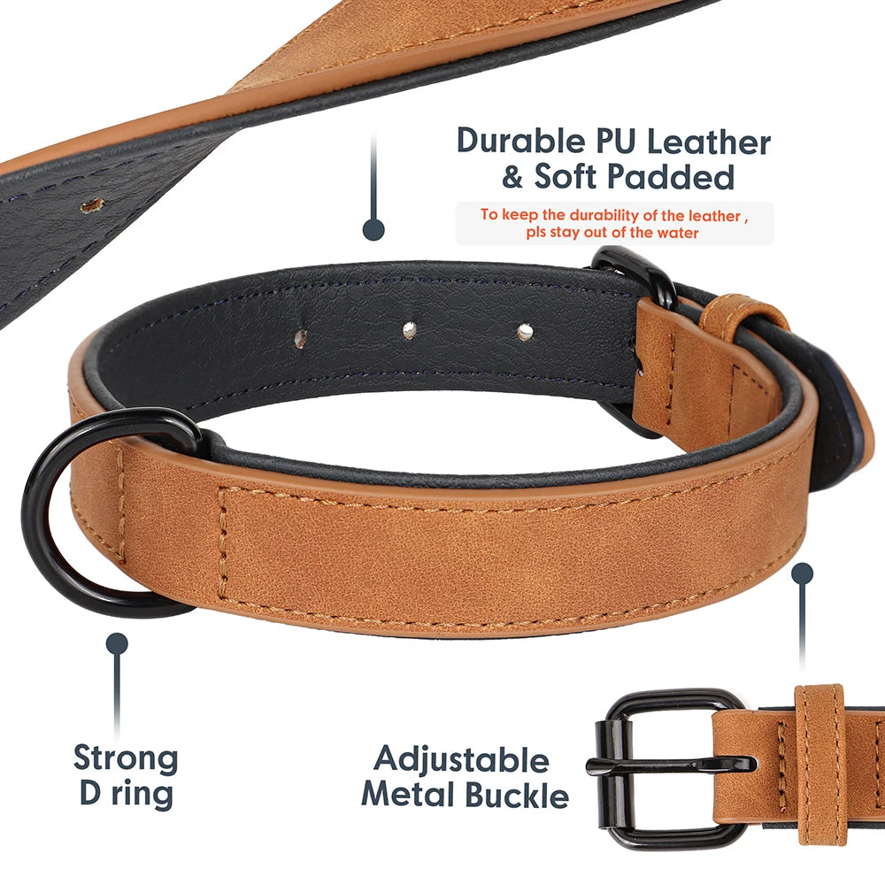 Dog Collar Soft Padded Leather