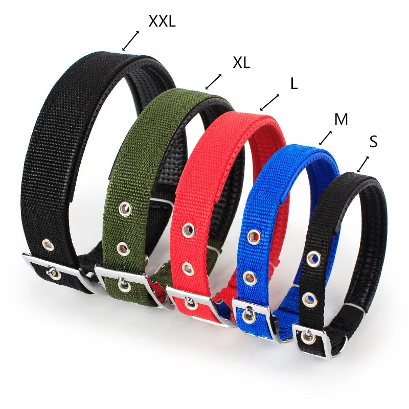 Nylon Dog Collar