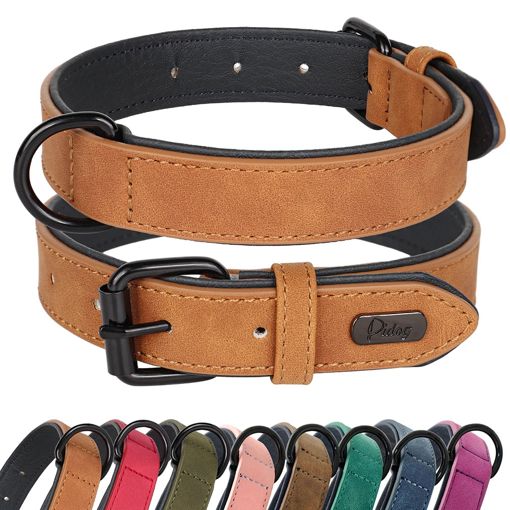 Dog Collar Soft Padded Leather