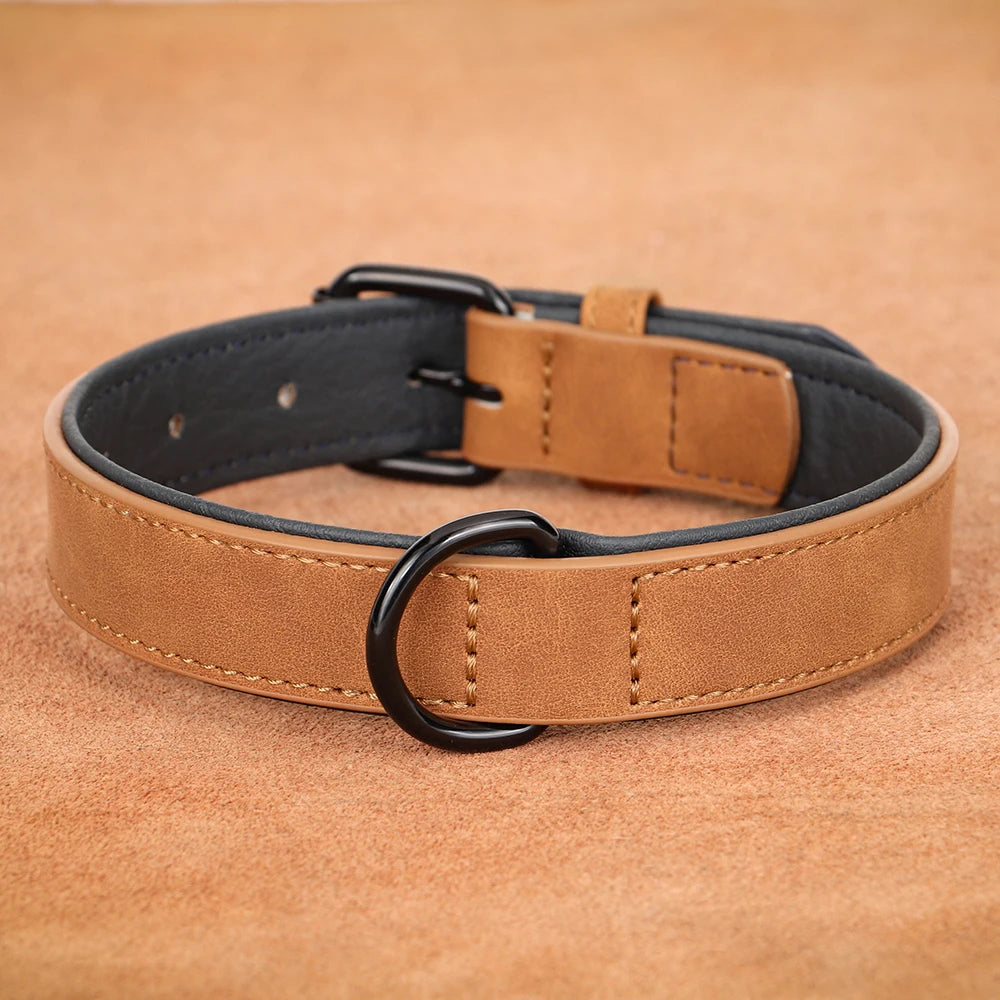 Dog Collar Soft Padded Leather