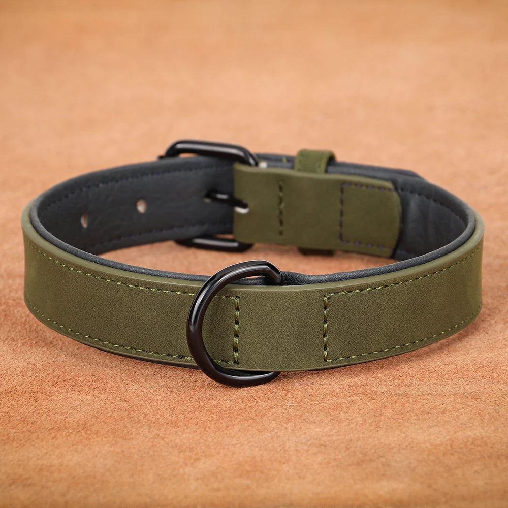 Dog Collar Soft Padded Leather