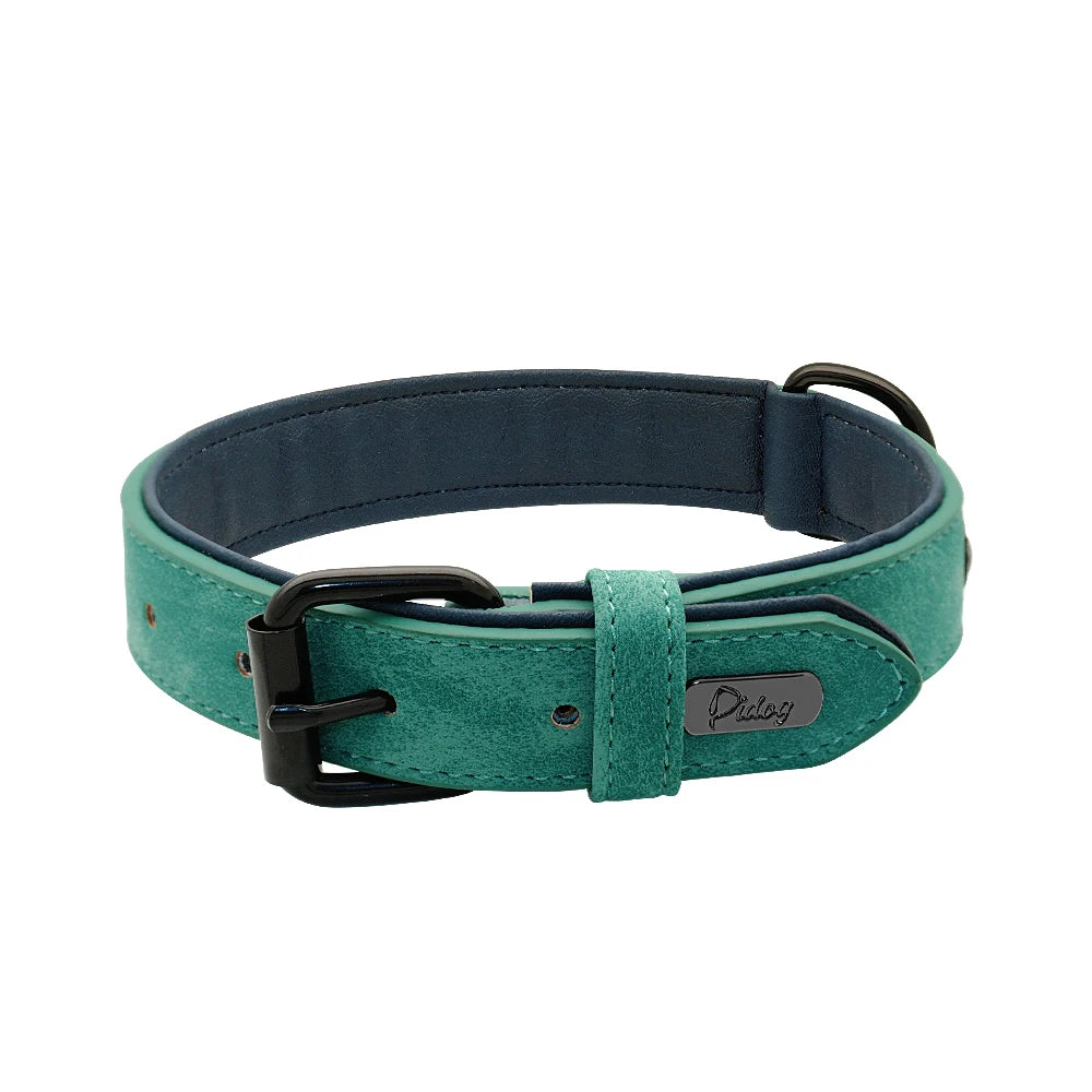 Dog Collar Soft Padded Leather