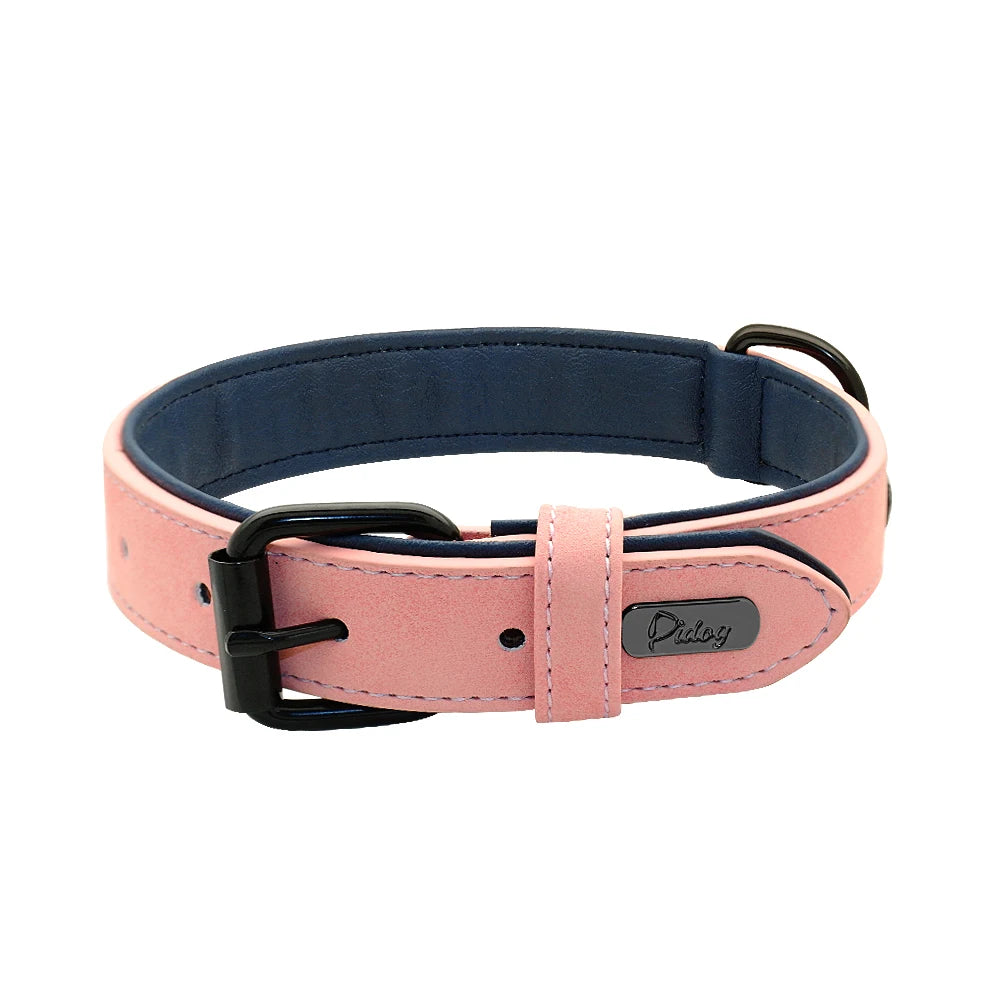 Dog Collar Soft Padded Leather