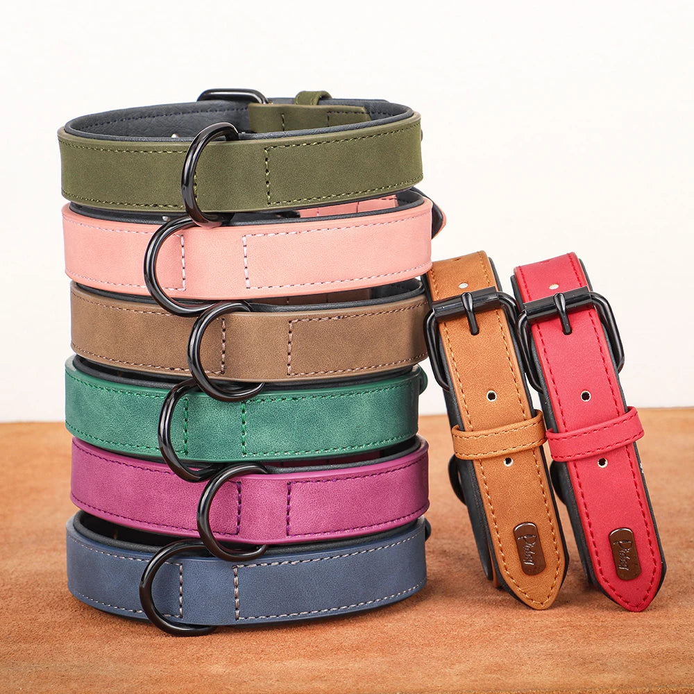 Dog Collar Soft Padded Leather