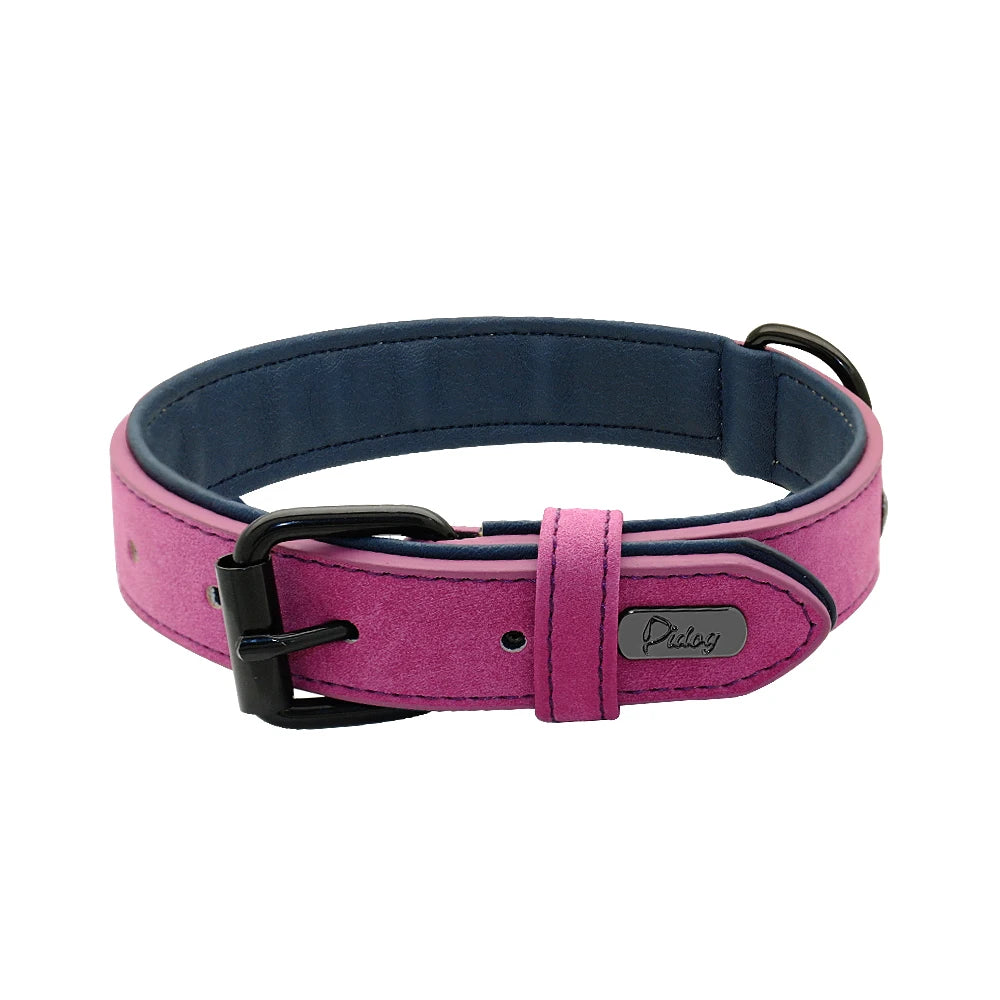 Dog Collar Soft Padded Leather