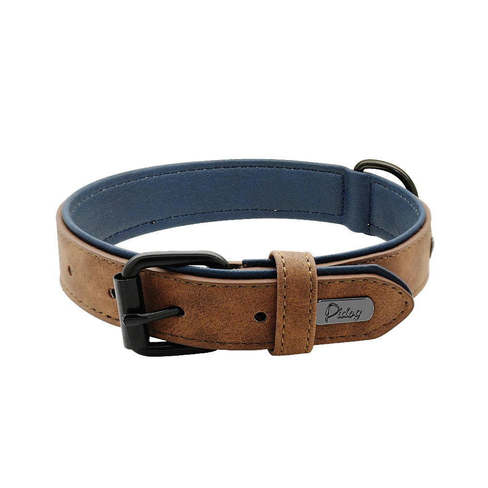 Dog Collar Soft Padded Leather