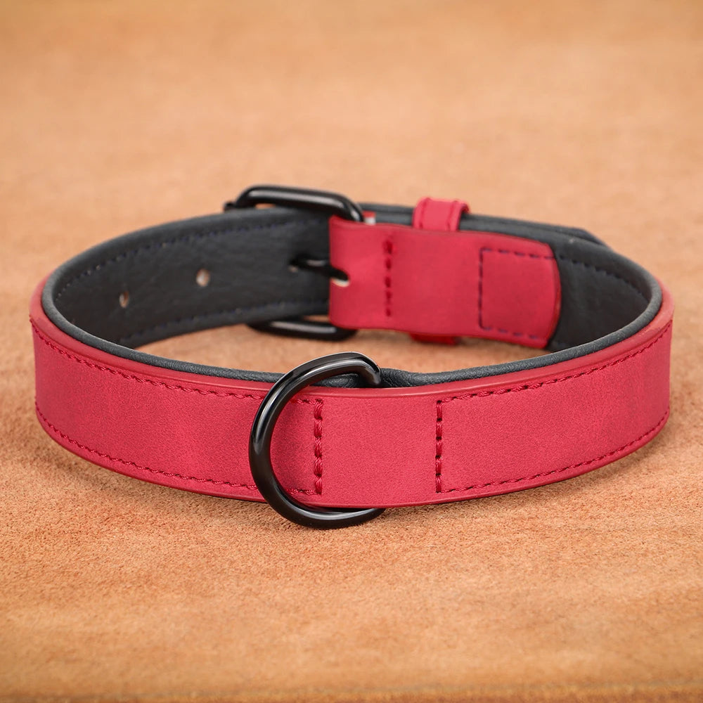 Dog Collar Soft Padded Leather