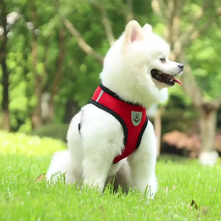 Reflective Cat Harness And Leash